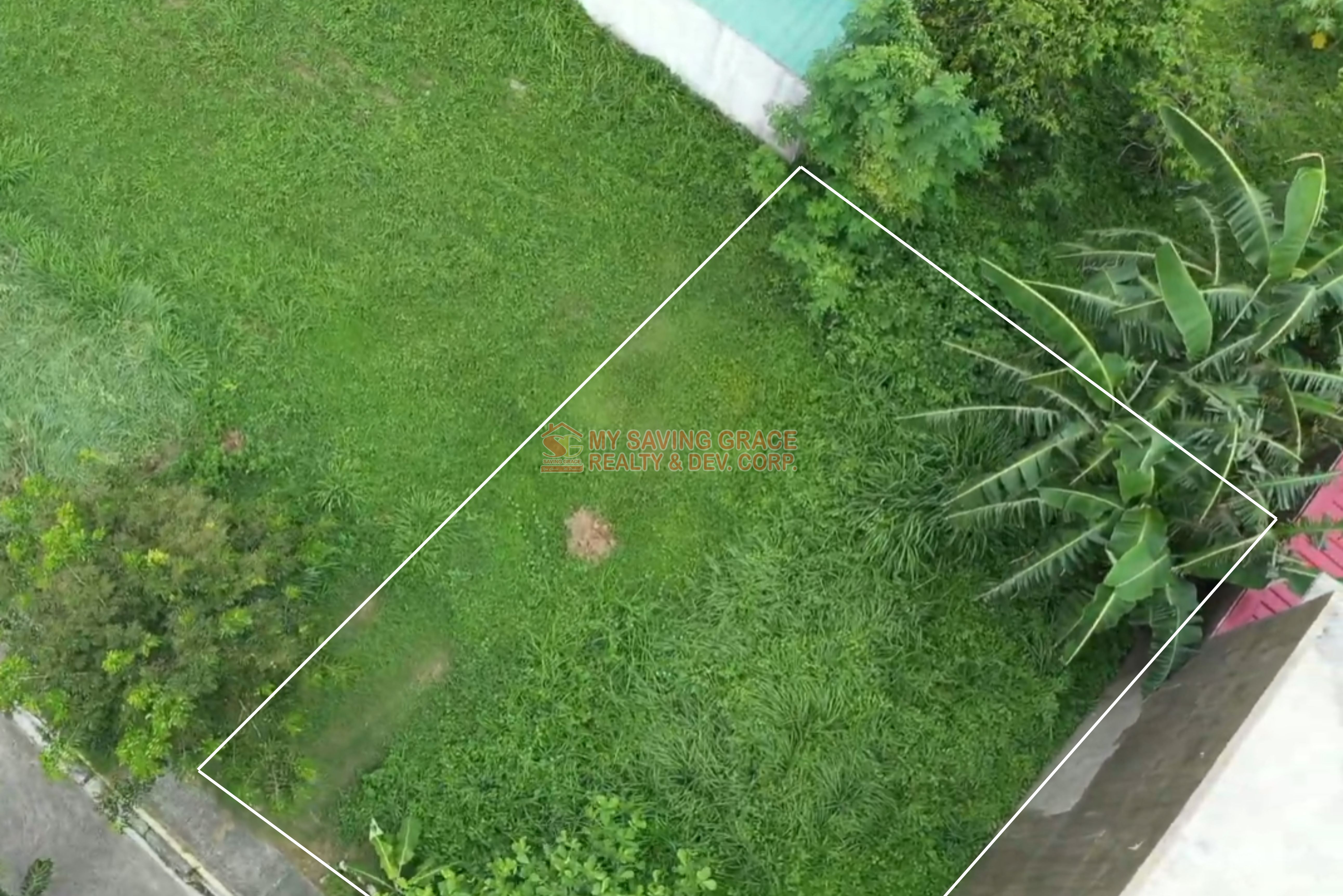 MSG Property